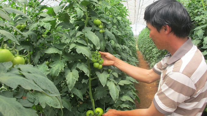 ນະຄອນໂຮ່ຈິມິນ ສົ່ງຊາວກະສິກອນໄປຕ່າງປະເທດເພື່ອຮໍ່າຮຽນເອົາ ບົດຮຽນ